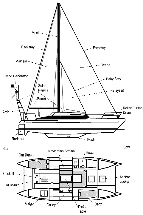 Cat's layout