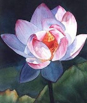 Lotus Flower